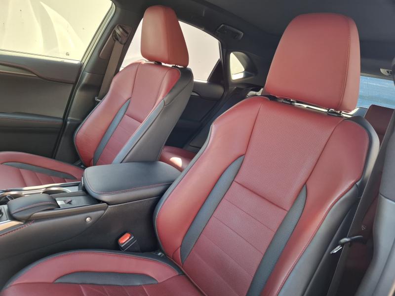 Lexus NX 300H 2.5 HYBRID F SPORT - photo 13