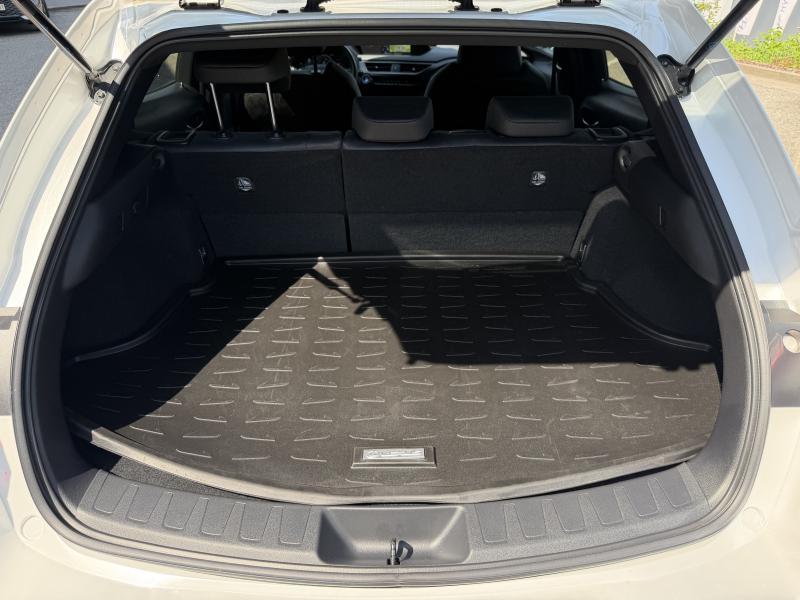 Lexus UX 250h 2.0 HYBRID CVT Explorer line - photo 16