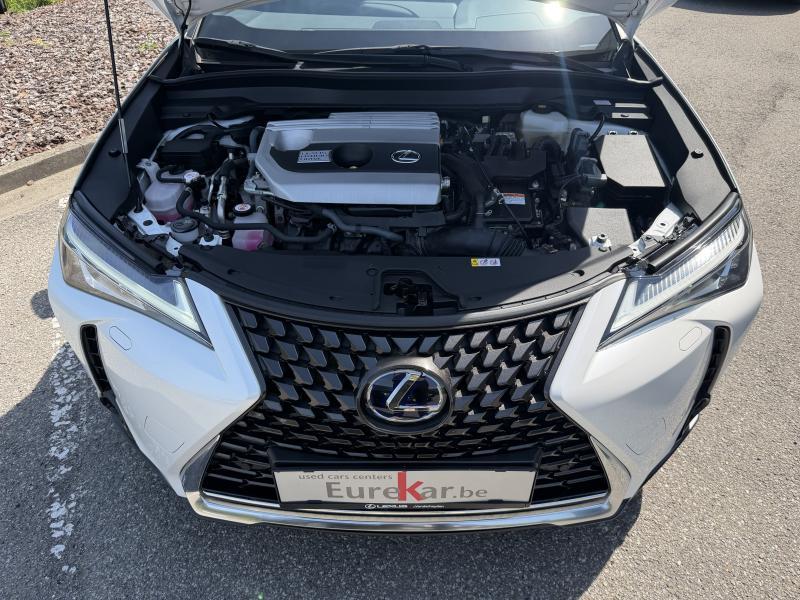 Lexus UX 250h 2.0 HYBRID CVT Explorer line - photo 18