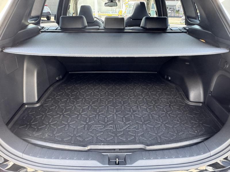 Toyota RAV-4 2.5 Hybrid STYLE - photo 19